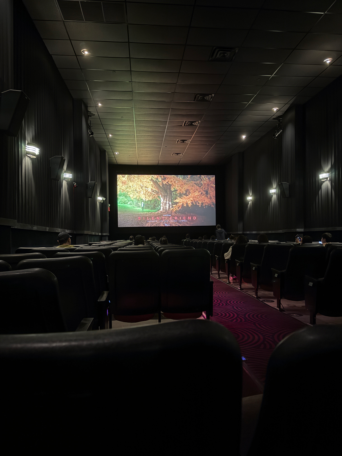 View from seat D3, Screen 2 at Angelika New York