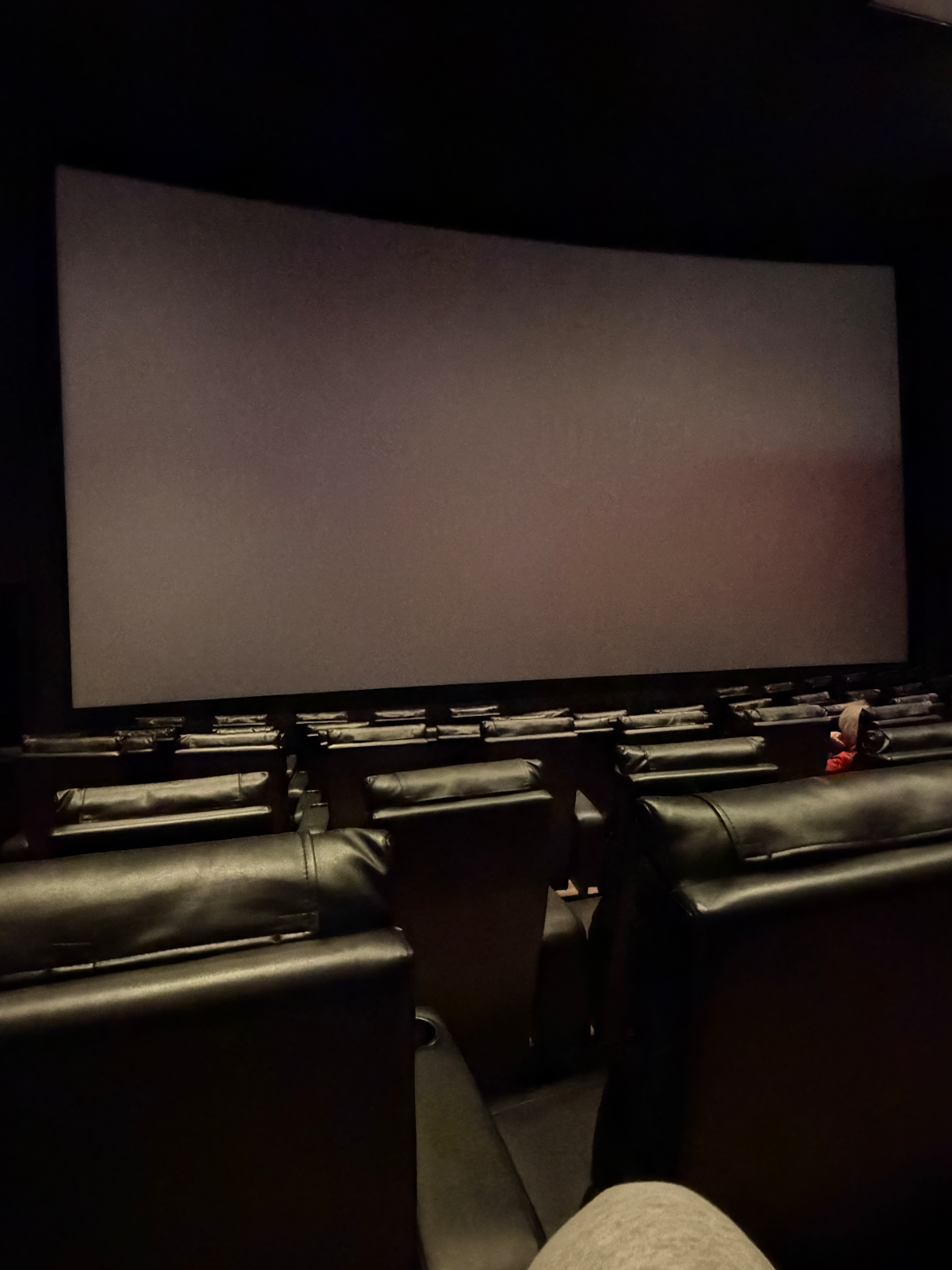 View from seat G11, Auditorium 17 at AMC Empire 25