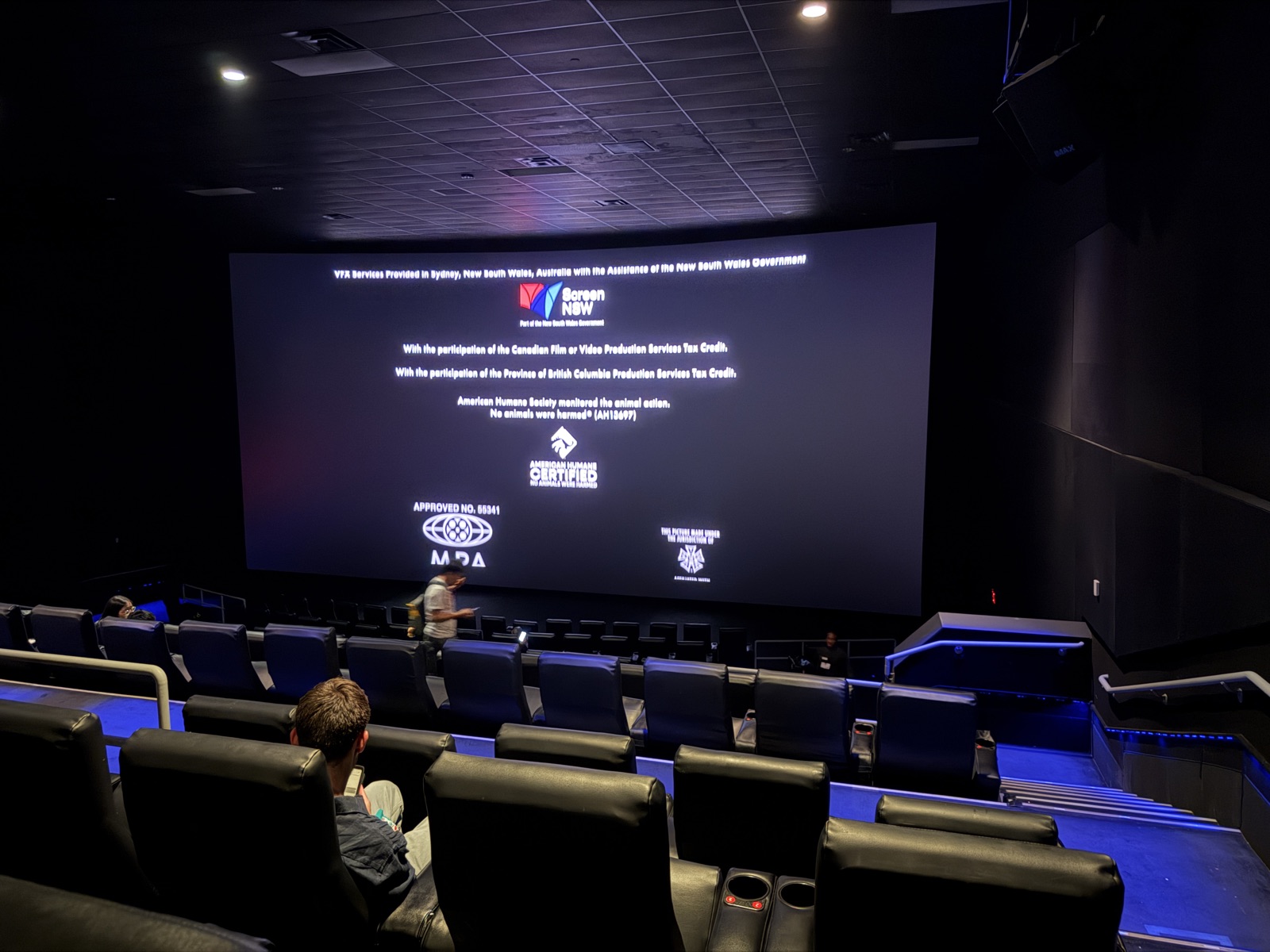 View from seat P1, IMAX (Auditorium 1) at AMC Empire 25