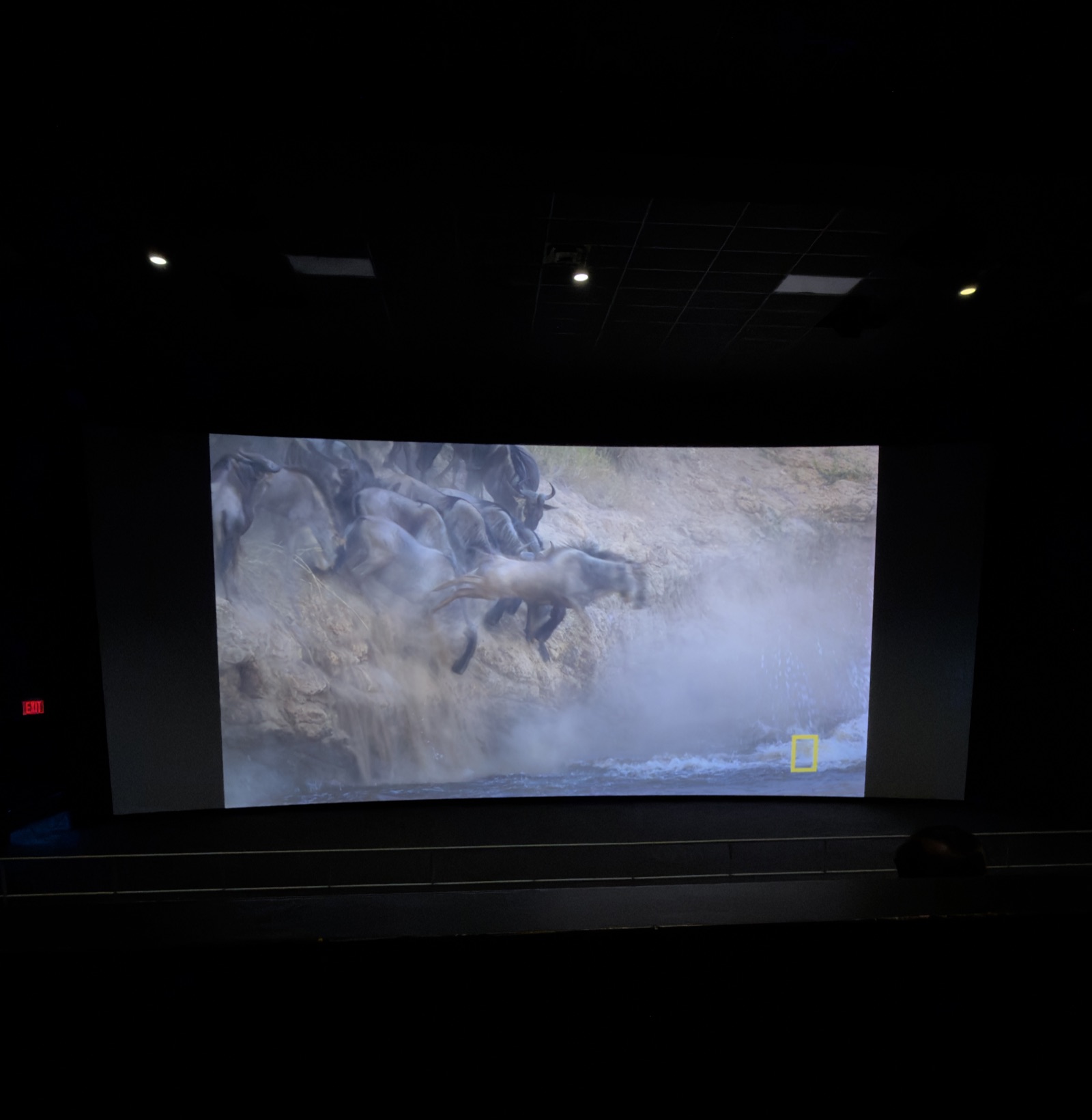 View from seat E13, Dolby Cinema (Auditorium 8) at AMC Empire 25