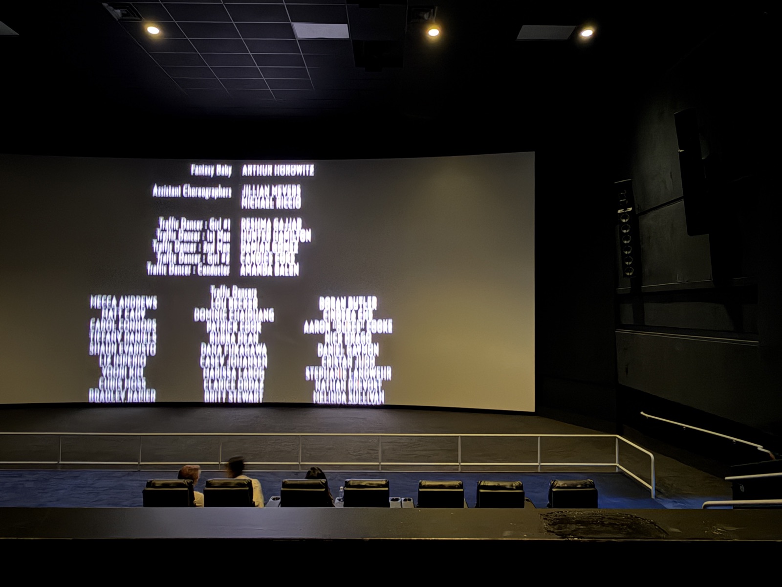 View from seat D3, Dolby Cinema (Auditorium 8) at AMC Empire 25
